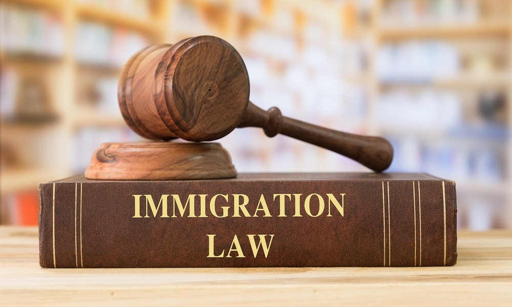 Immigration Law (1)